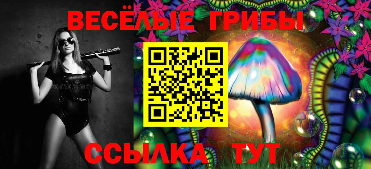 Костомукша  Галлюциногенные грибы Psilocybine cubensis  Псилоцибиновые грибы MAGIC MUSHROOMS  Вход с VPN 
